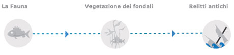 Itinerari immersioni subacquee
