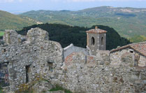 Tolfa